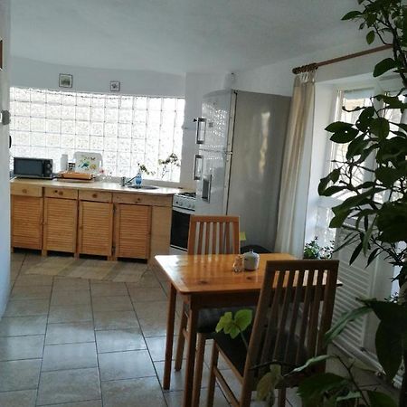 Moss'S Economy Apartment Тимишоара Экстерьер фото