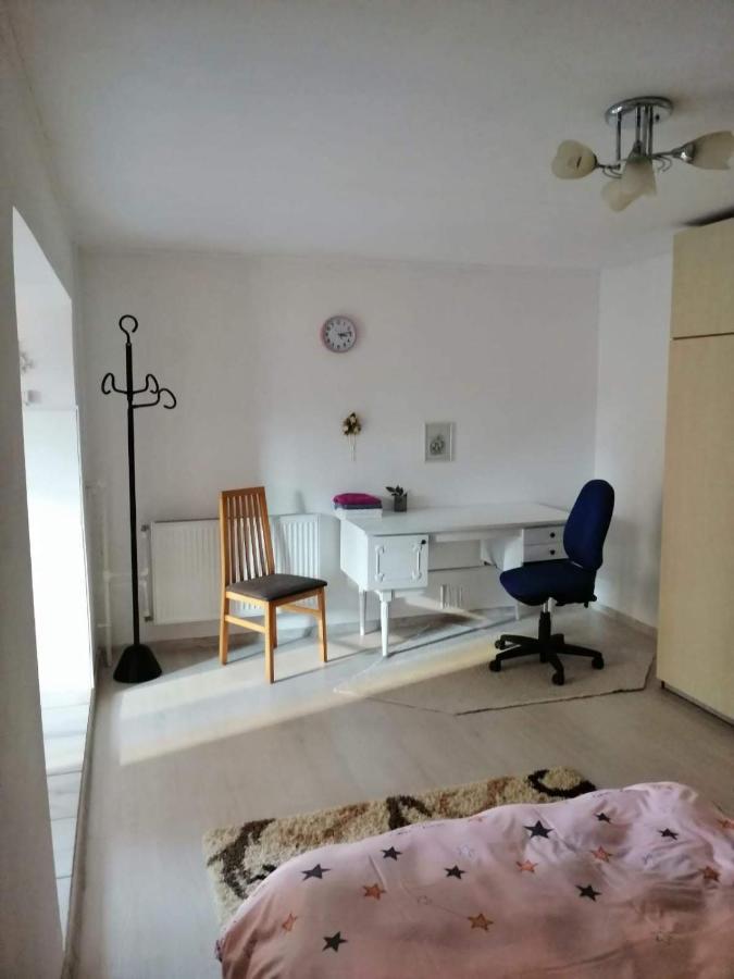 Moss'S Economy Apartment Тимишоара Экстерьер фото