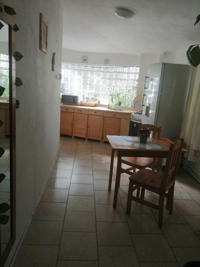 Moss'S Economy Apartment Тимишоара Экстерьер фото