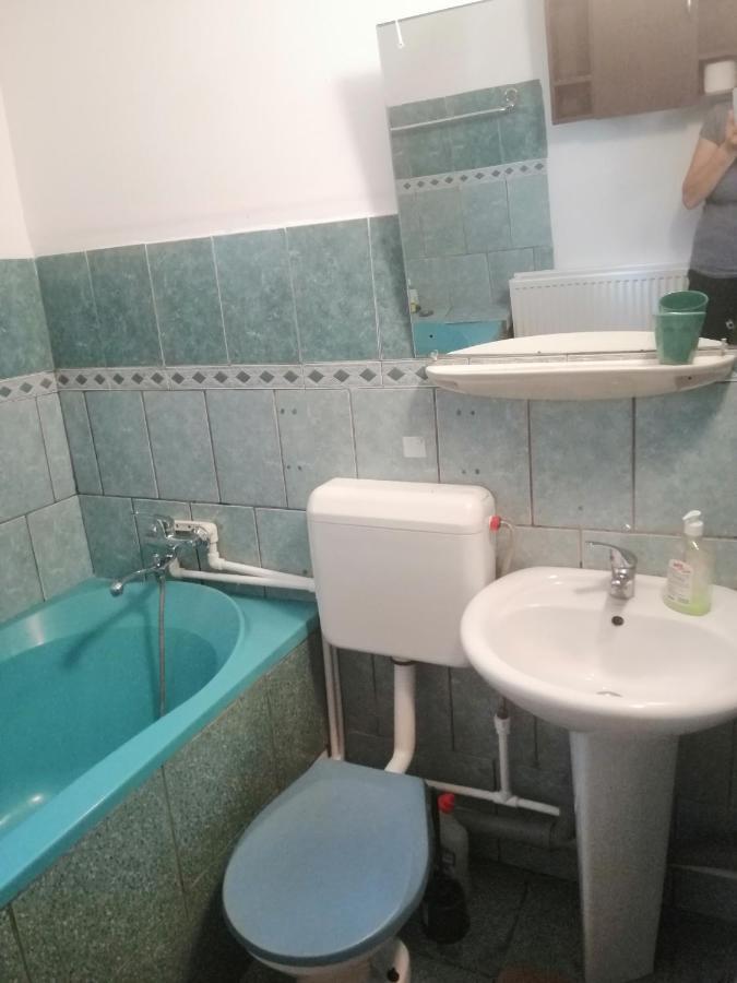 Moss'S Economy Apartment Тимишоара Экстерьер фото